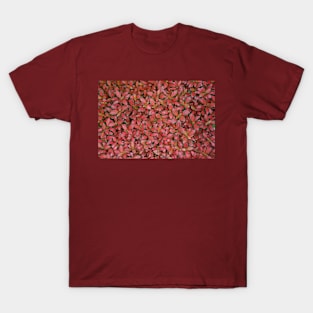 Natural Abstracts - Variegated Leaves - July 2021 T-Shirt